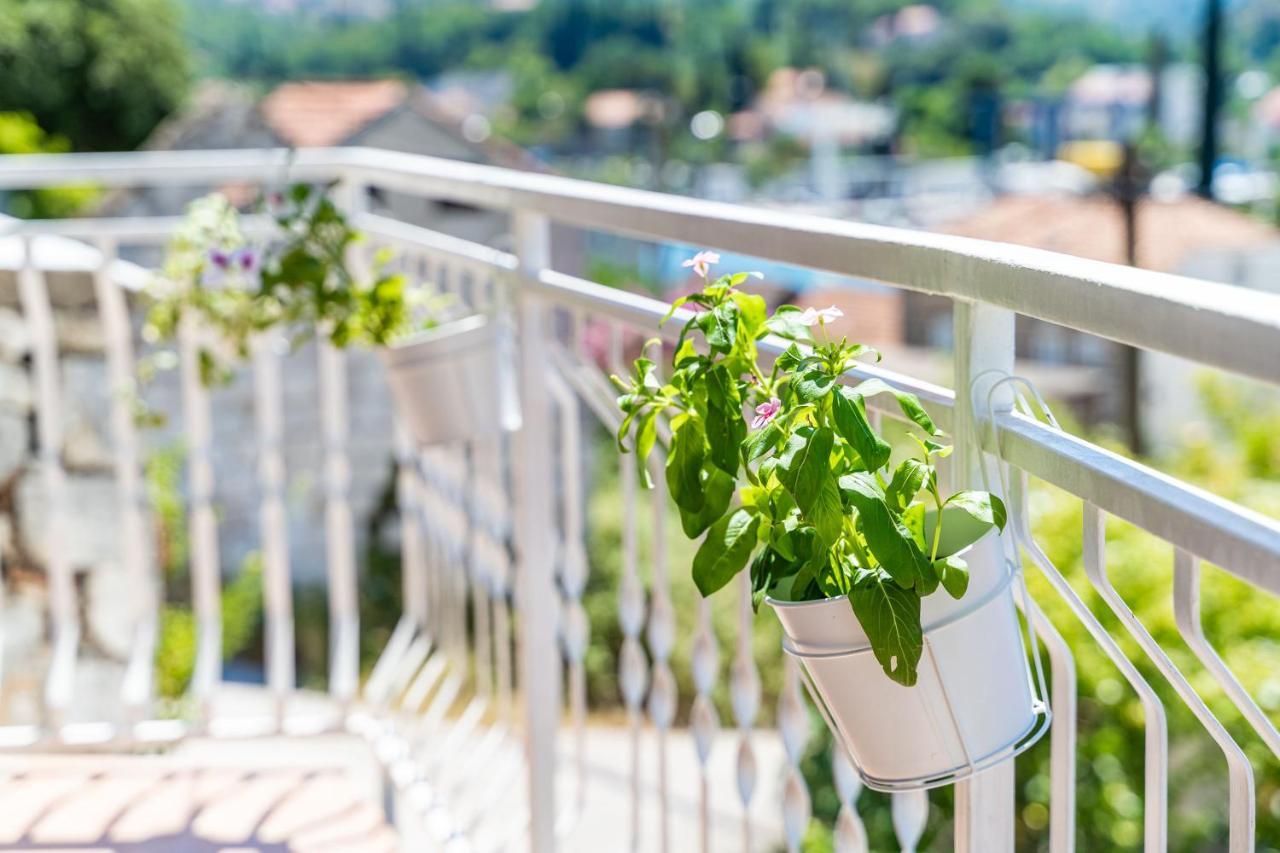 Apartment House Of Artichoke With Amazing Sea View, Dubrovnik Mokošica 外观 照片