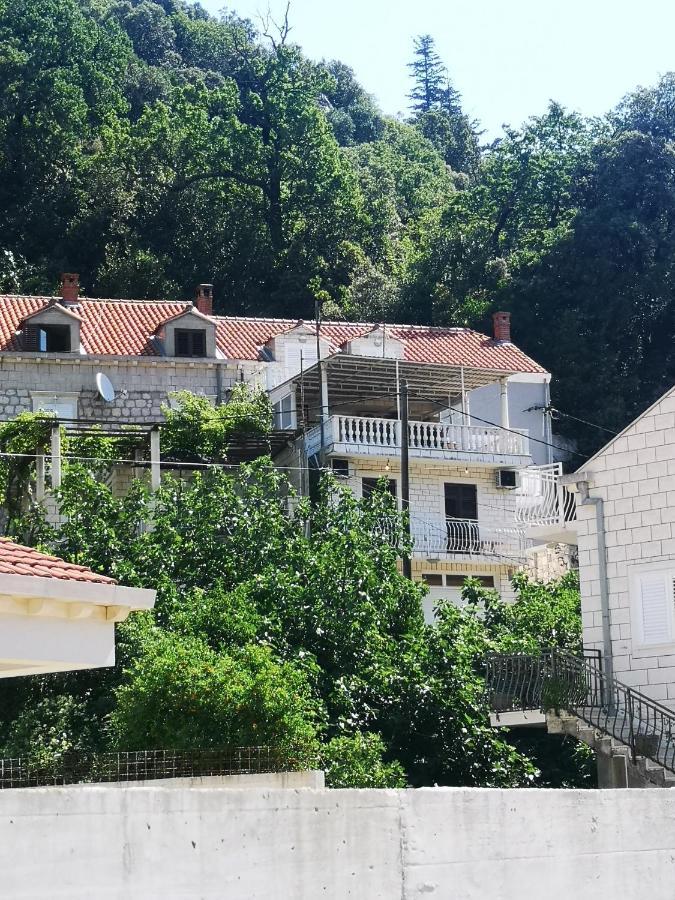 Apartment House Of Artichoke With Amazing Sea View, Dubrovnik Mokošica 外观 照片